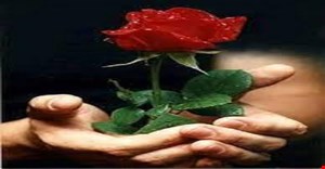 مقاله و مبانی نظری عفو گذشت و بخشش