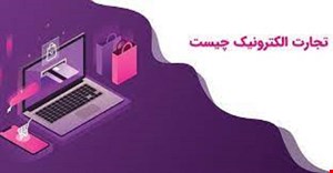 مقاله و مبانی نظری تجارت الکترونیک و بلوغ تجارت الکترونیک