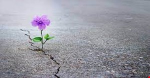 مقاله و مبانی نظری اثر القاي خلق مثبت بر افزايش اميد