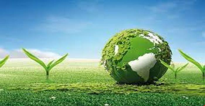 مقاله و مبانی نظری استانداردهای زیست محیطی در بازار سرمایه 