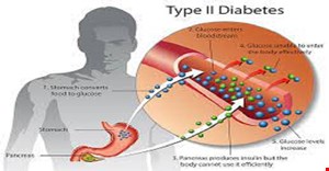 مقاله و مبانی نظری دیابت نوع 2