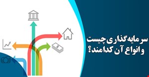 مقاله و مبانی نظری و پیشینه تحقیق اختیارات سرمایه گذاری