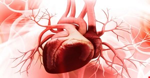 مقاله و مبانی نظری و پیشینه تحقیق بیماری قلبی