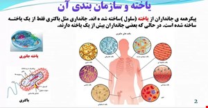 پاورپوینت درس علوم تجربی پایه هفتم فصل یازدهم 11 (یاخته و سازمان‌بندی آن )