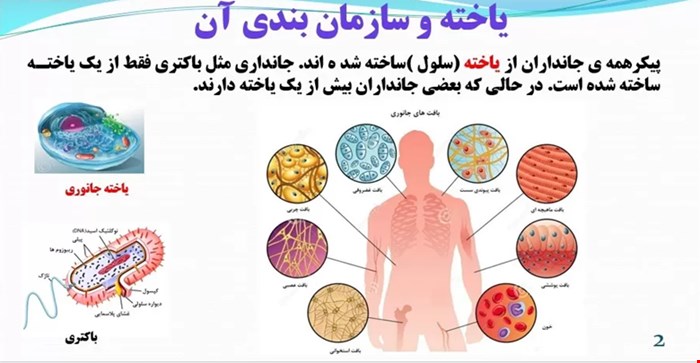 پاورپوینت درس علوم تجربی پایه هفتم فصل یازدهم 11 (یاخته و سازمان‌بندی آن )