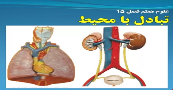 پاورپوینت درس علوم تجربی پایه هفتم فصل پانزدهم 15 ( تبادل با محیط)