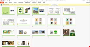 پاورپوینت نگاه و بررسی به شرکت تولیدی تک ماکارون از دیروز تا امروز
